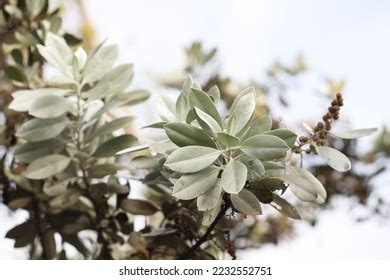 Image result for Computer Desktop Screen