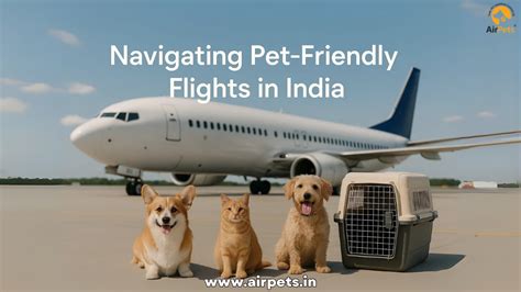 Navigating Pet-Friendly Flights in India - Pet Travel Blog | Pet ...
