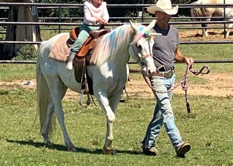 Spring Fling on the Ranch - Pony Rides, Bounce House, Mechanical Bull ...