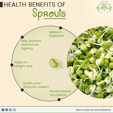 Bean Sprouts Nutritional Benefits Local Only] SOYBEAN SPROUTS 1.5LB