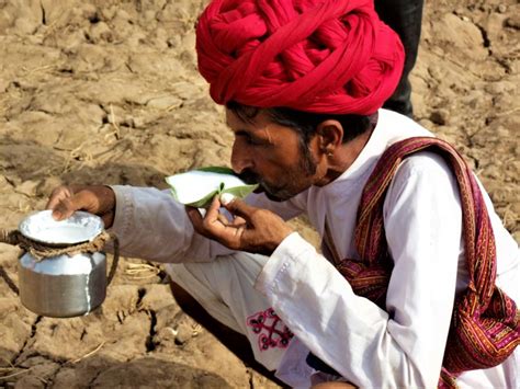 Rajasthan’s Tilwara Cattle Fair Hit by Pandemic as Camel Prices ...
