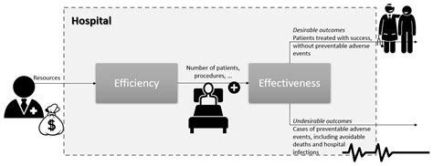 Evaluating Portuguese Public Hospitals Performance: Any Difference ...