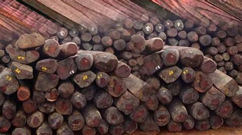 DYFI leader who smuggled rosewood out of school compound continuing in ...
