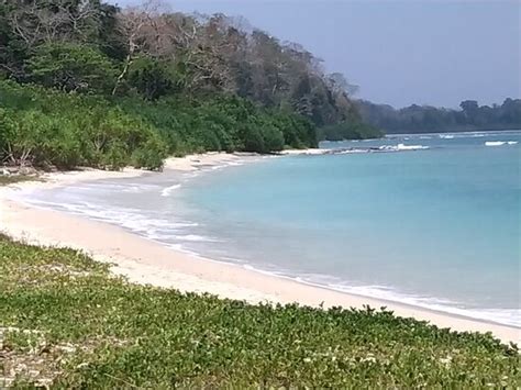 PRISTINE BEACH RESORTS (Diglipur, Andaman and Nicobar Islands) - Hotel ...