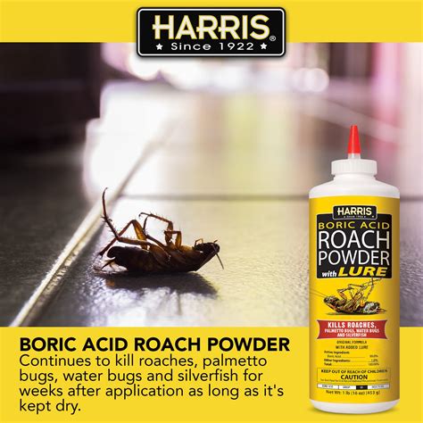 Borax Powder Cockroaches Win The War Against Roaches: Boric Acid Bait