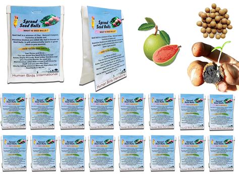 Human Birds International™ (50 Set) Seed Balls Return Gift Pack - Eco ...