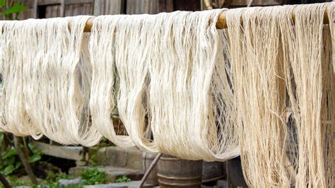 Accelerating Circularity Trials Show Feasibility and Value in Textile ...