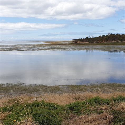 COOBOWIE ESTUARY AND BIRD HIDE - All You SHOULD Know Before Going 2026 ...