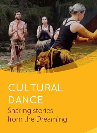 Image result for Australian Aboriginal Dance Tutorial