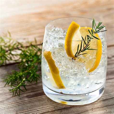 From Mothers Ruin to Botanical Bliss – Gin comes of age - Drinks