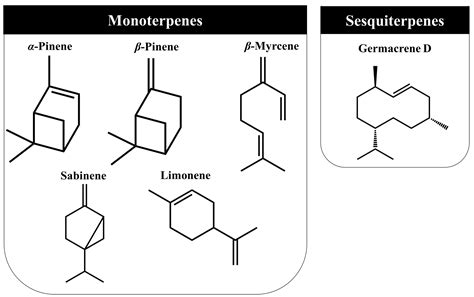 Zimbro (Juniperus communis L.) as a Promising Source of Bioactive ...
