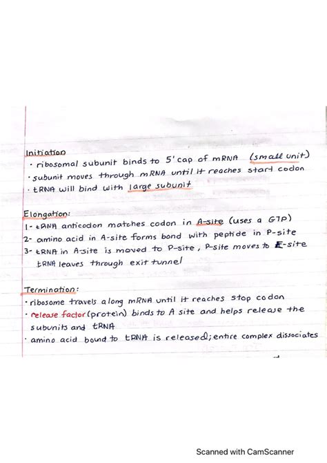 DNA Translation Basic 的图像结果