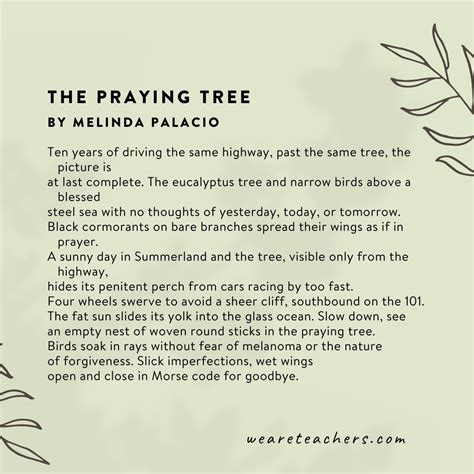 80 Beautiful Poems About Nature - Roagety.com