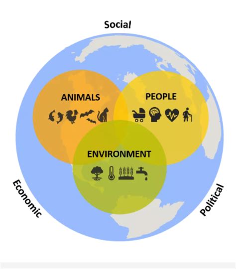 Image result for One Health CDC