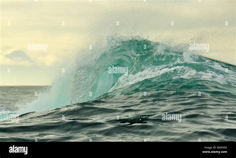 Sea Wave 的图像结果