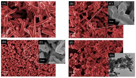 Tug-of-War Driven by the Structure of Carboxylic Acids: Tuning the Size ...