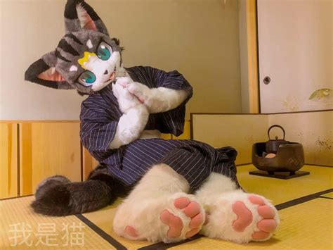 Buy FurryWu StudioJapan Kemono Kawaii Grey Cat Fursuit Teen Costumes ...