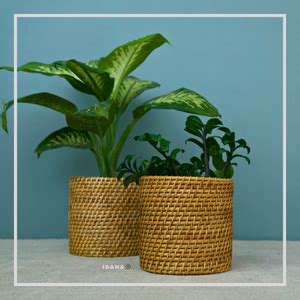 elixirhouse Isana Bucket shaped IC061 Plant Container Set Price in ...