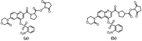 Molecules | Special Issue : Derivatization in Analytical Chemistry