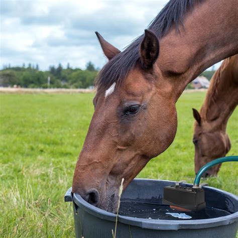 JIANBENKJ Stock Water Tank Float Valve Livestock Water Trough India | Ubuy