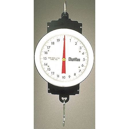 Chatillon & Sons Mechanical Hanging Scale, Dial, Steel WH-100 | Zoro