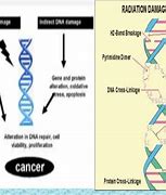 Image result for genotoxicity