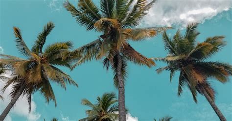 Why Sri Lanka is the New Bali for Indian Travelers | The Groovers