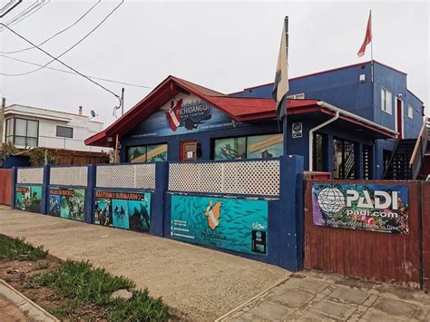 BUCEO PICHIDANGUI DIVE CENTER - Hostel Reviews & Photos - Tripadvisor
