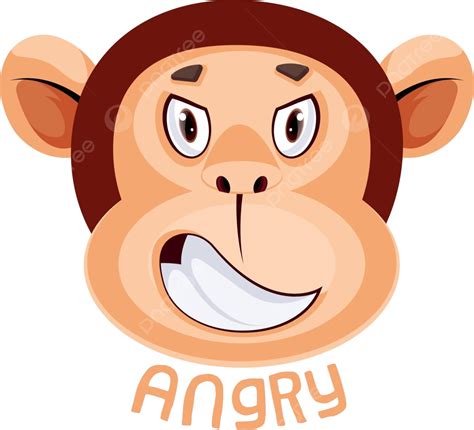 Image result for Angry Monkey Computer GIF