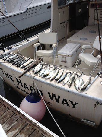Deep Sea Express Fishing Charters (Wrightsville Beach) - What to Know ...