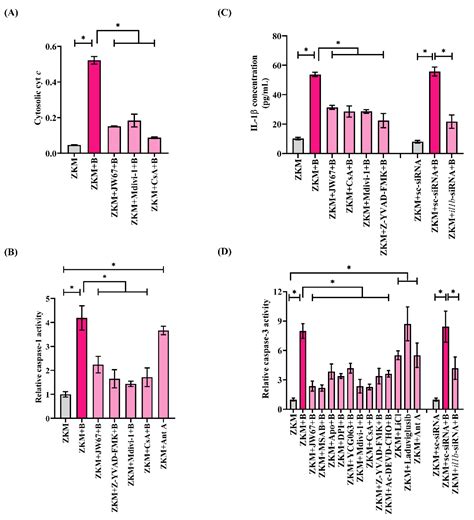 β-Catenin Elicits Drp1-Mediated Mitochondrial Fission Activating the ...