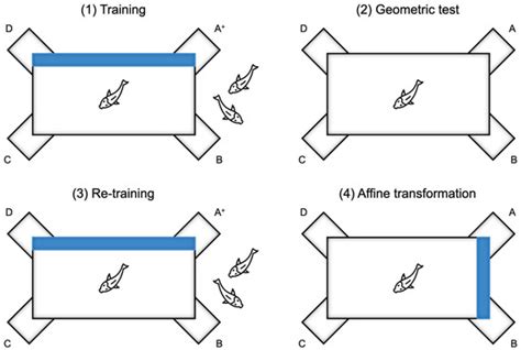 Two Are Better Than One: Integrating Spatial Geometry with a ...