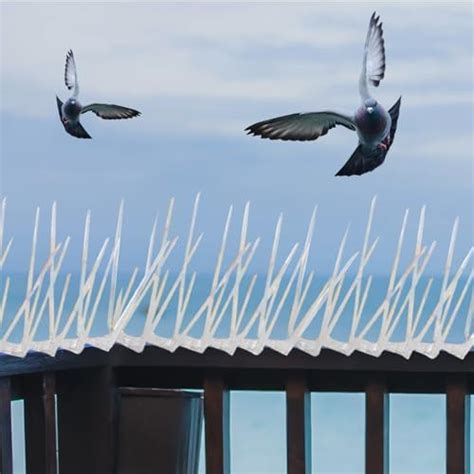 Essoti Store Pigeon Bird Control Spike Set of 7 Pieces for AC Outdoor ...