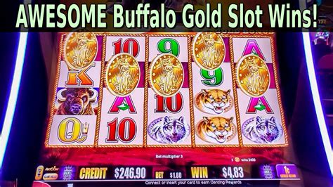 buffalo gold slot winners