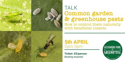 TALK: How to Control Common Garden and Greenhouse Pests - naturally ...