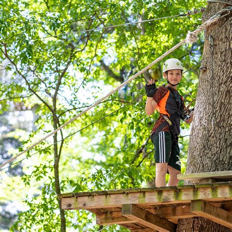 TRINITY FOREST ADVENTURE PARK - All You Need to Know BEFORE You Go ...
