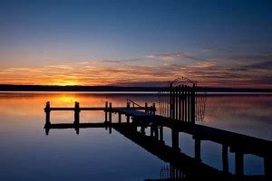 Bald Eagle Bayern Munich FC Matte Finish Poster Photographic Paper ...