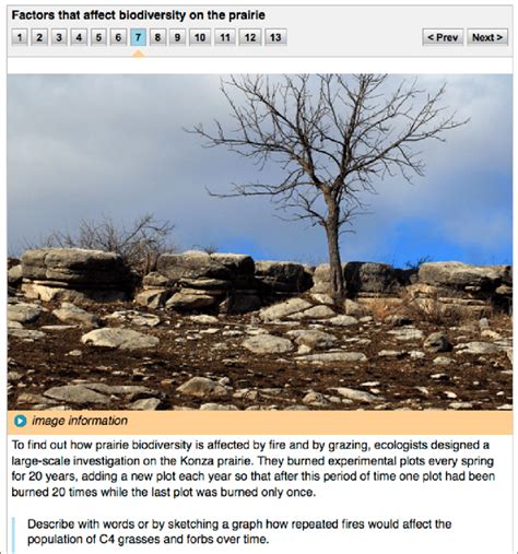 Image result for Figure Annotation