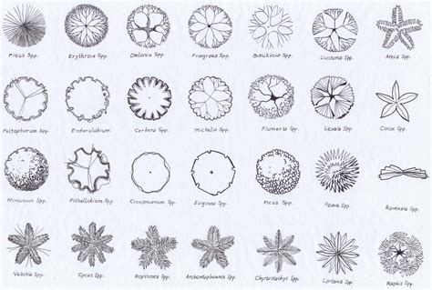 landscape drawing symbols