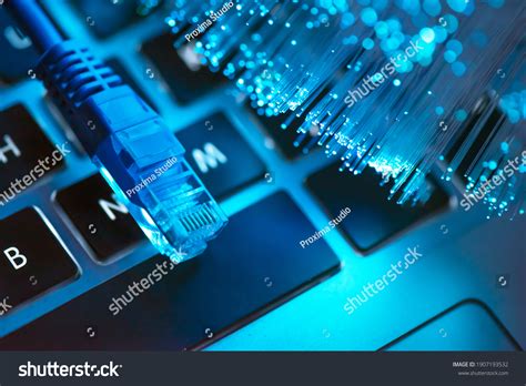 Image result for Internet Cable Plug