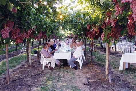 Grapes 的图像结果