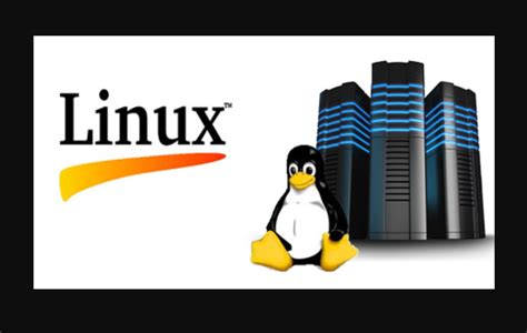 Image result for Linux Server Logo