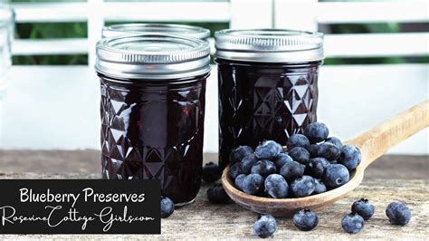 Delicious Blueberry Preserves Recipe