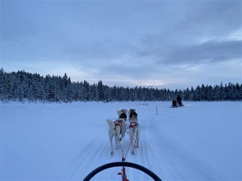 WILD SPIRIT PARK (Ivalo) - 2022 What to Know Before You Go