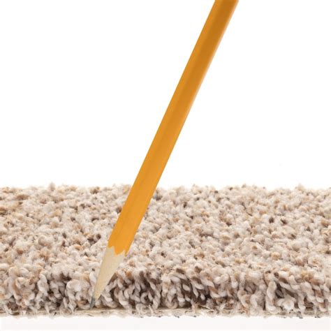 STAINMASTER (Sample) Very Dapper II Pencil Sketch Brown 47.8-oz sq yard ...