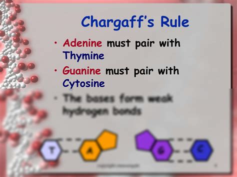 Image result for DNA Replication Explained