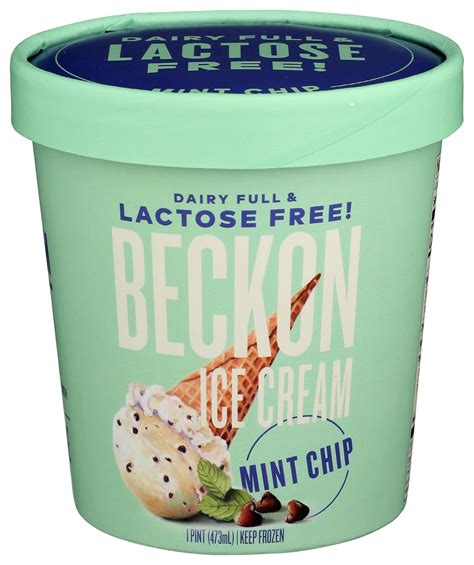 Amazon.com: BECKON Lactose-Free Mint Chip Ice Cream, 1 PT : Grocery ...