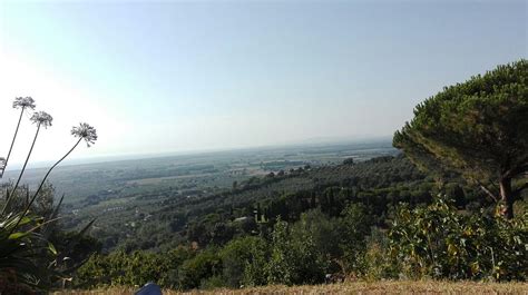 AGRICAMPING LA GALLINELLA (Castagneto Carducci, Italy - Tuscany ...