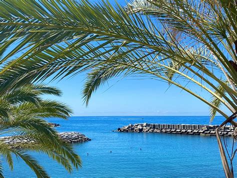 MARINA ROOMS (Calheta, Madeira) - Specialty Inn Reviews, Photos, Rate ...