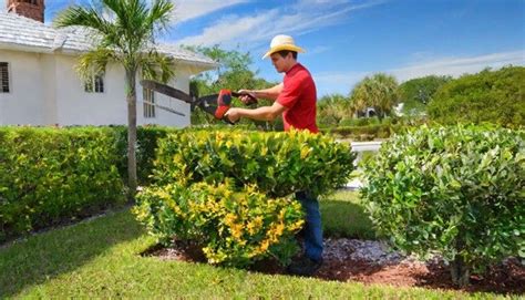 Trim, Renew, and Nourish Workshop: Pruning, Mulching, Composting, North ...